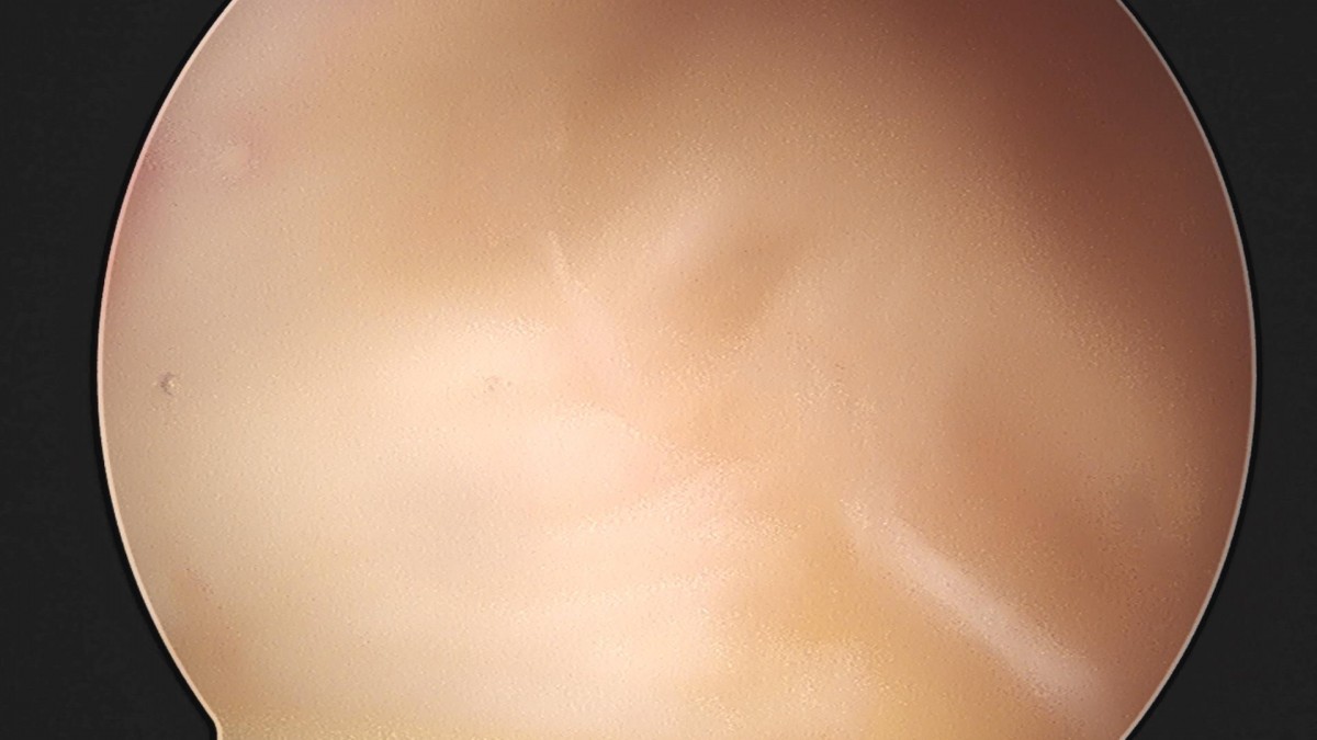32341c324db2d176f34ec014ac758183_1729063695_5382.jpg