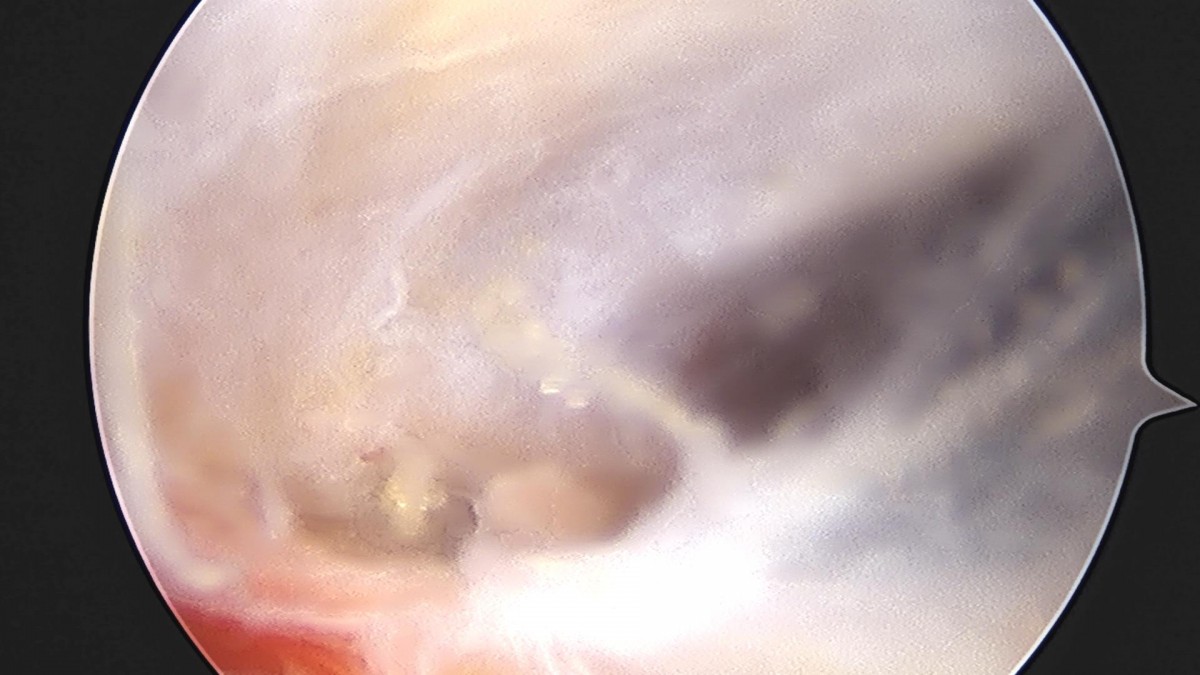 32341c324db2d176f34ec014ac758183_1729063695_9812.jpg