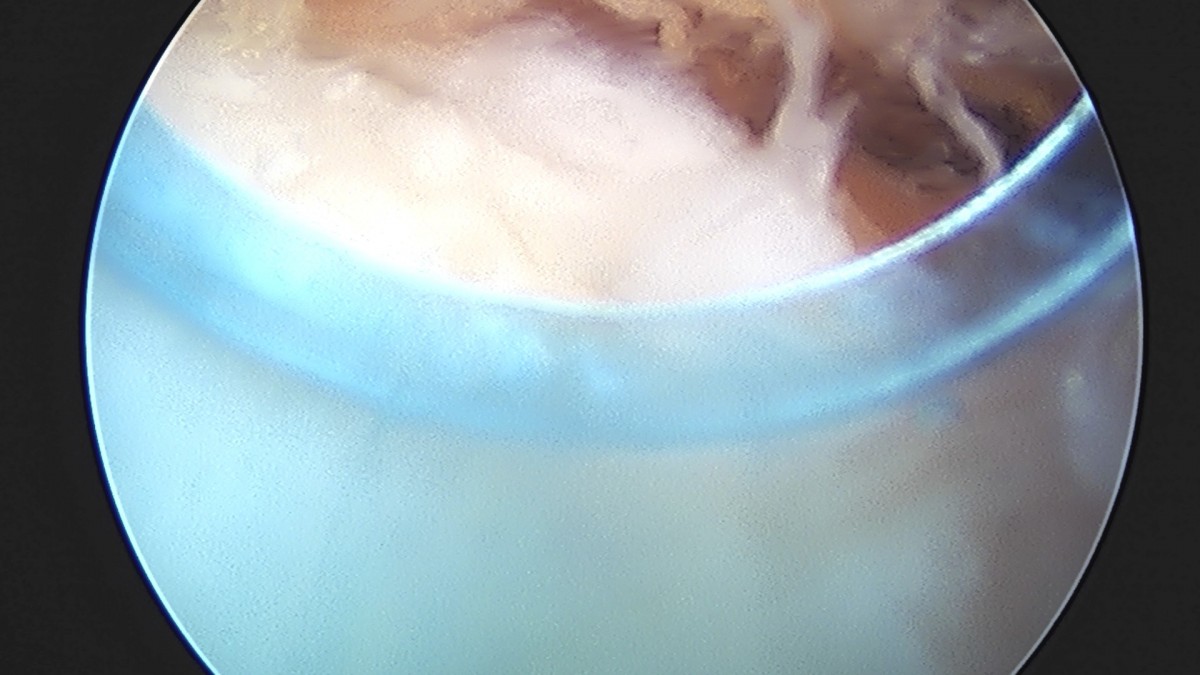58490d3b1e200cf11df1ea881291f176_1736748189_0649.jpg