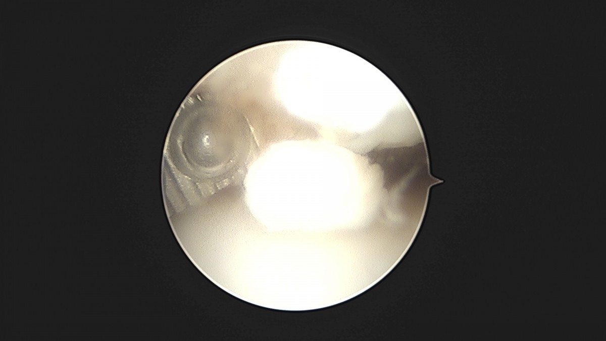 58490d3b1e200cf11df1ea881291f176_1736748356_9637.jpg