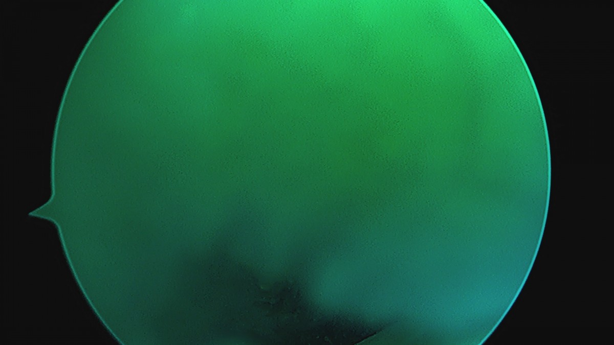 58490d3b1e200cf11df1ea881291f176_1736749770_5158.jpg