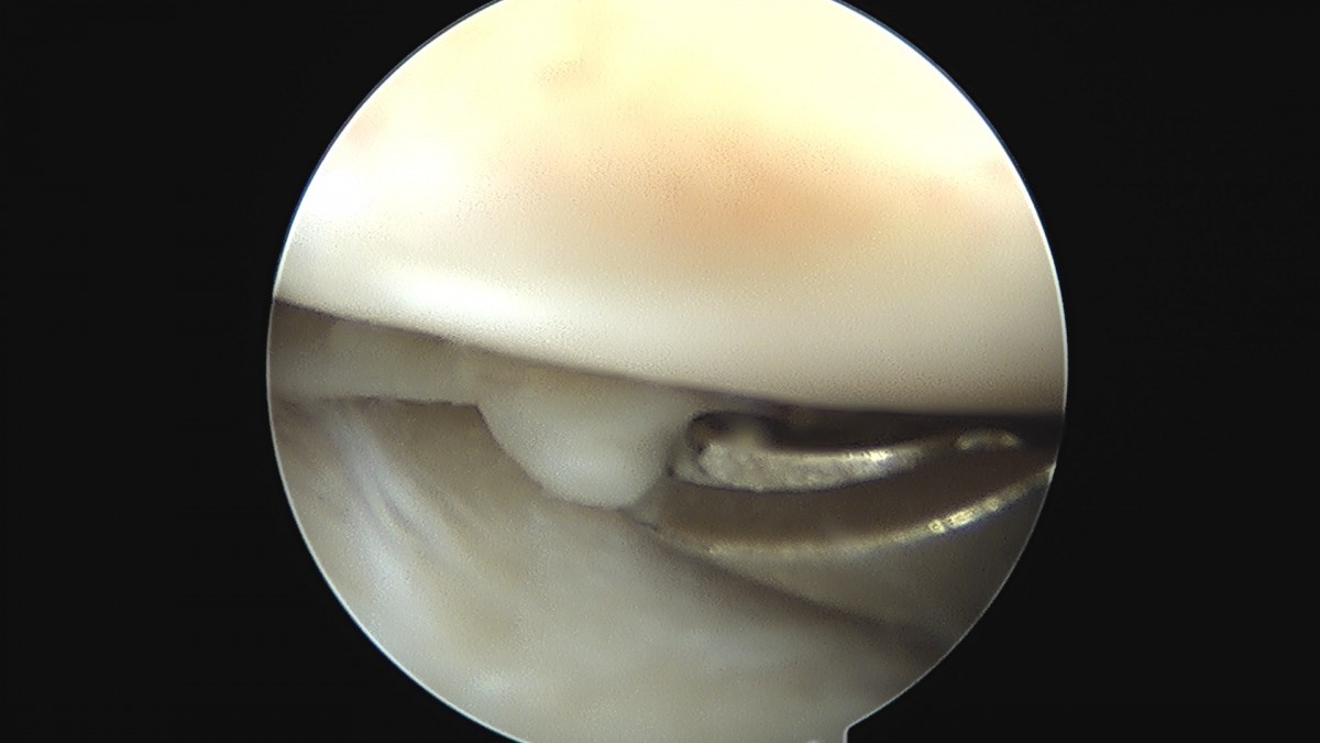 58490d3b1e200cf11df1ea881291f176_1736750034_1364.jpg