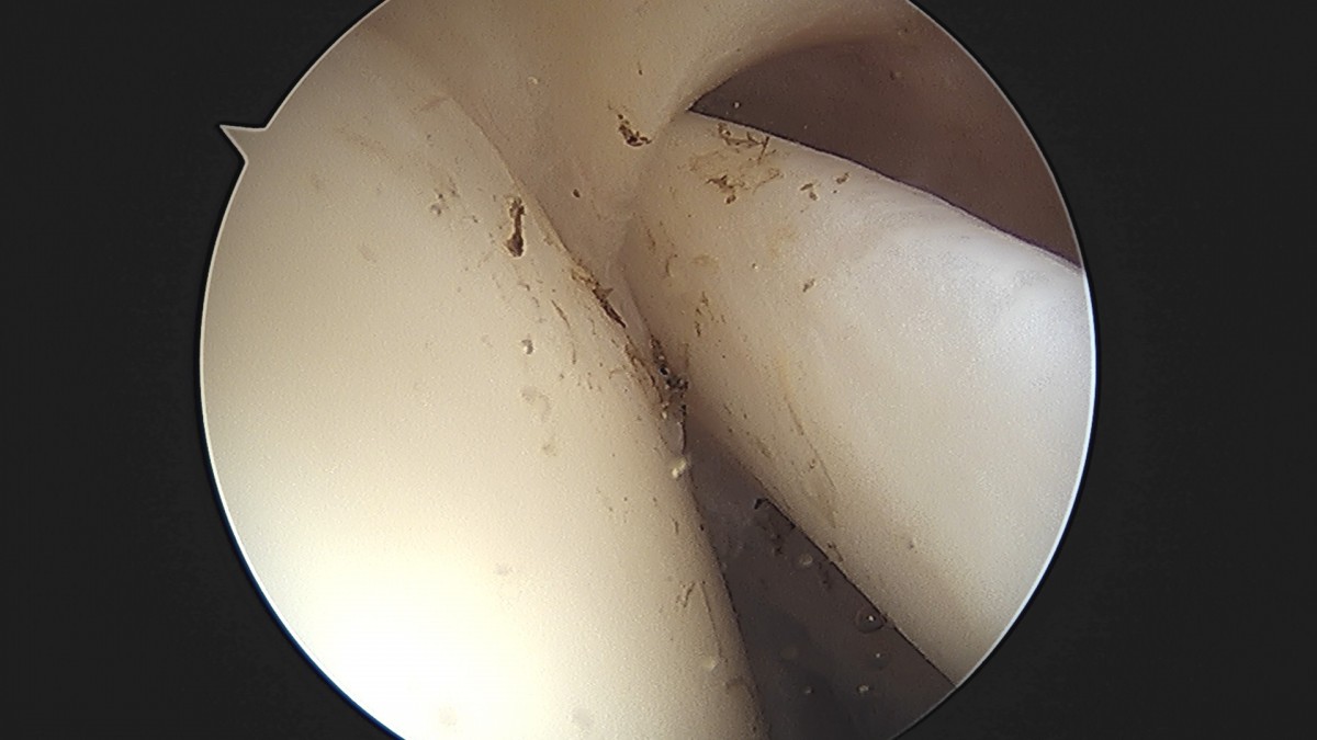 58490d3b1e200cf11df1ea881291f176_1736750109_1069.jpg