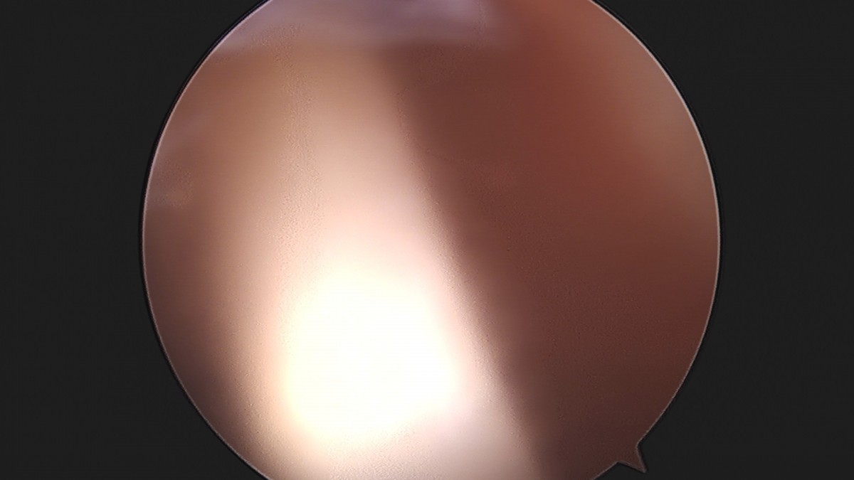 58490d3b1e200cf11df1ea881291f176_1736750383_2904.jpg