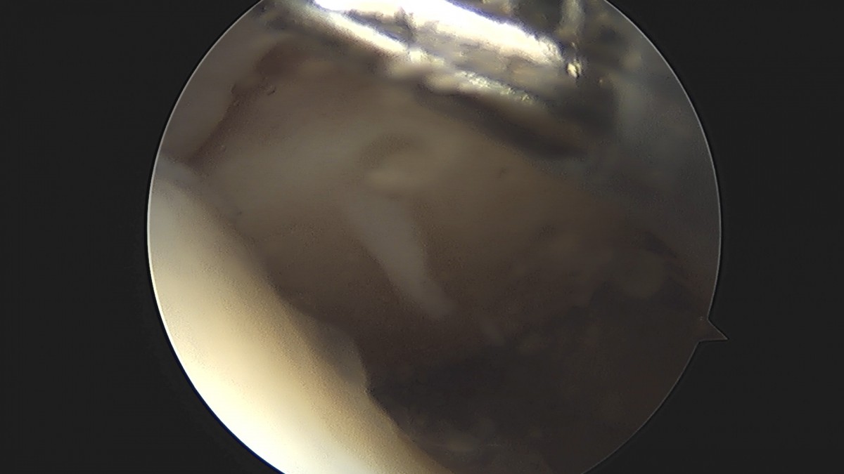 58490d3b1e200cf11df1ea881291f176_1736750679_9062.jpg