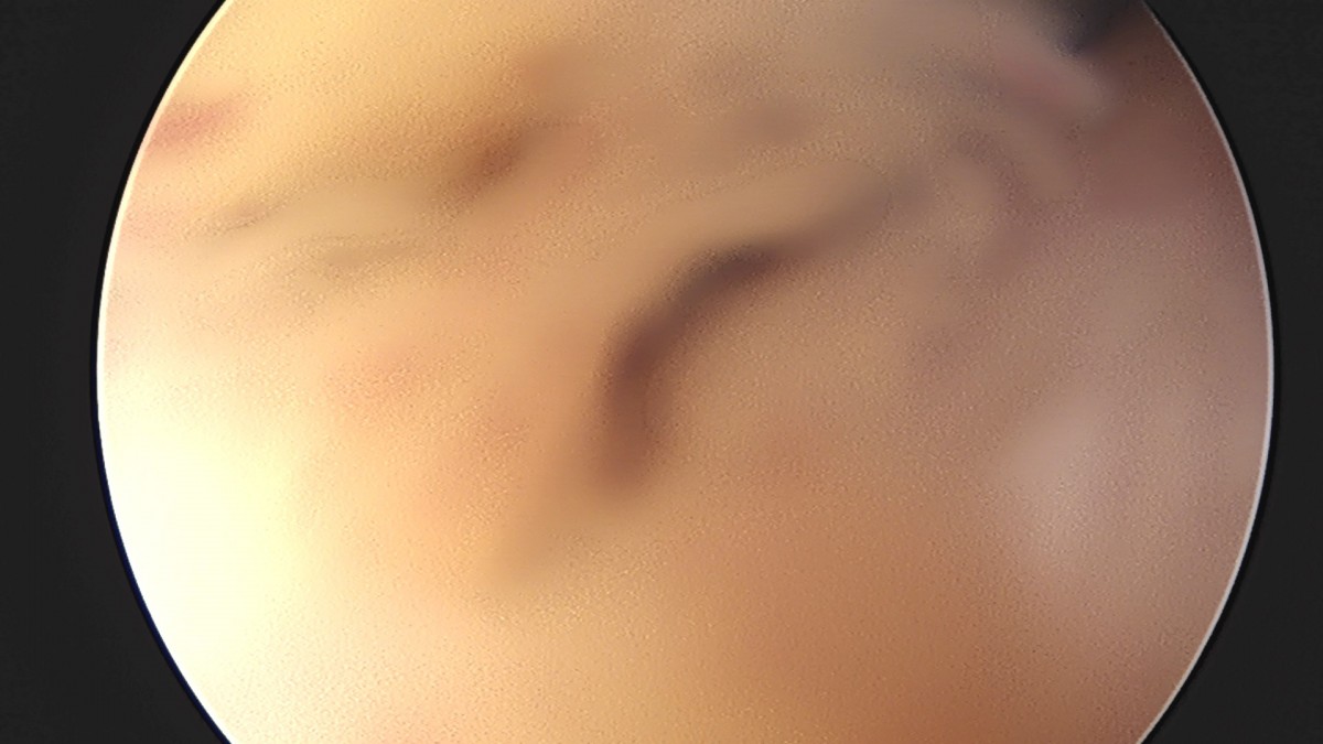58490d3b1e200cf11df1ea881291f176_1736750859_5299.jpg