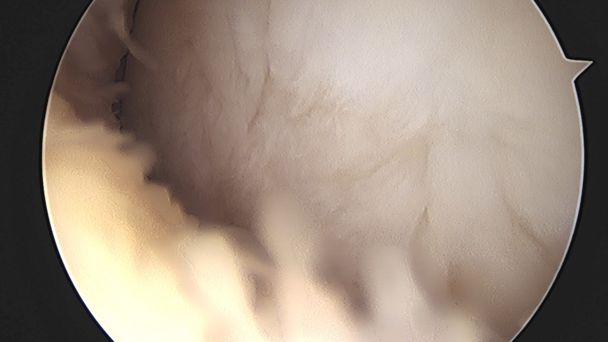 58490d3b1e200cf11df1ea881291f176_1736750859_7843.jpg
