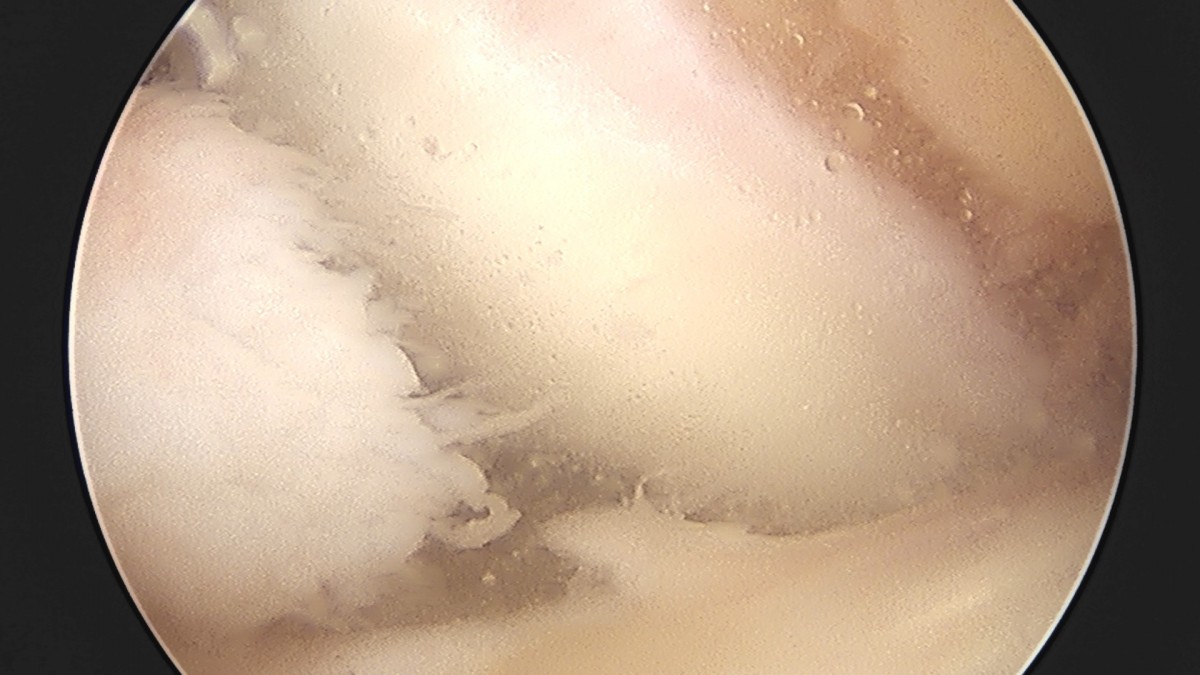 58490d3b1e200cf11df1ea881291f176_1736750860_1936.jpg