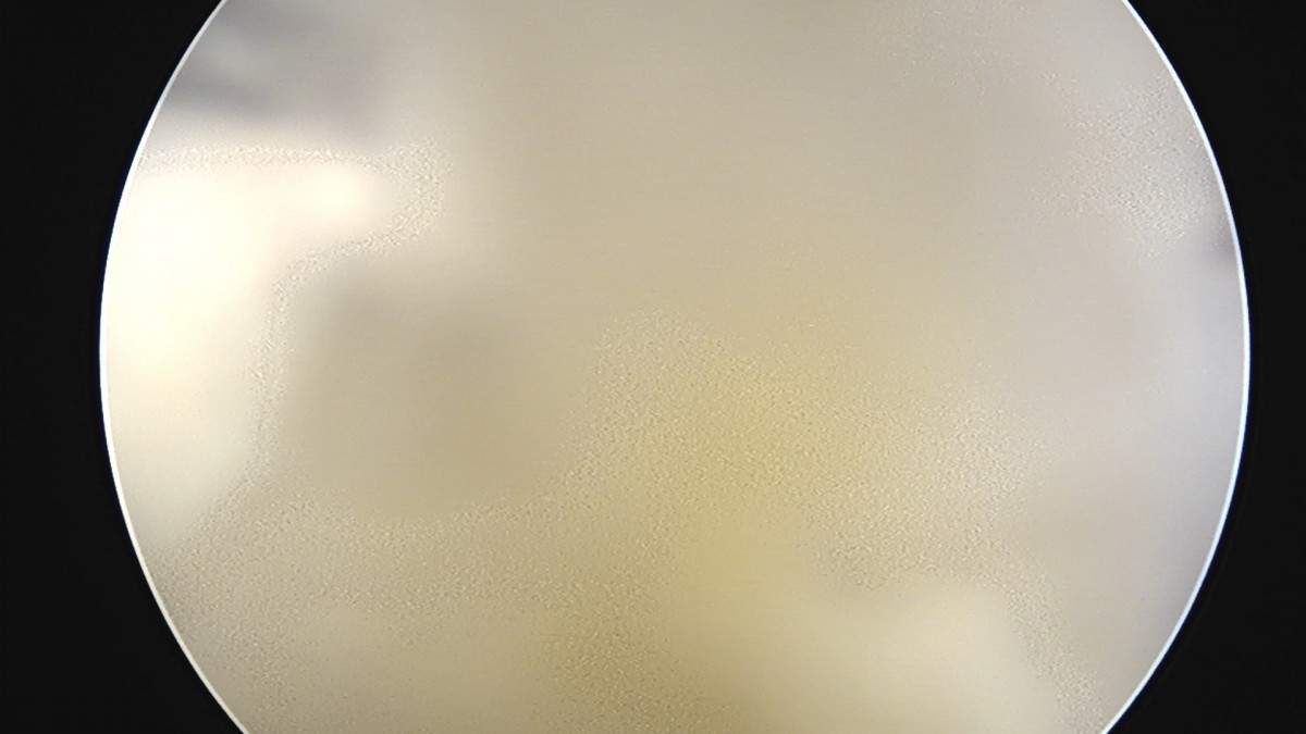 58490d3b1e200cf11df1ea881291f176_1736754697_0454.jpg
