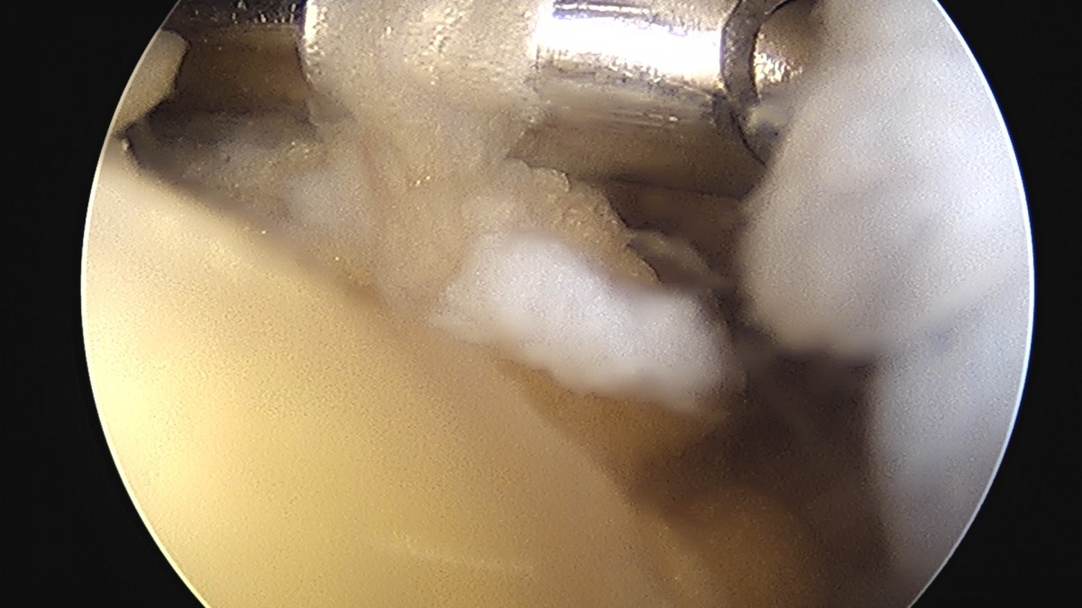 58490d3b1e200cf11df1ea881291f176_1736754697_212.jpg