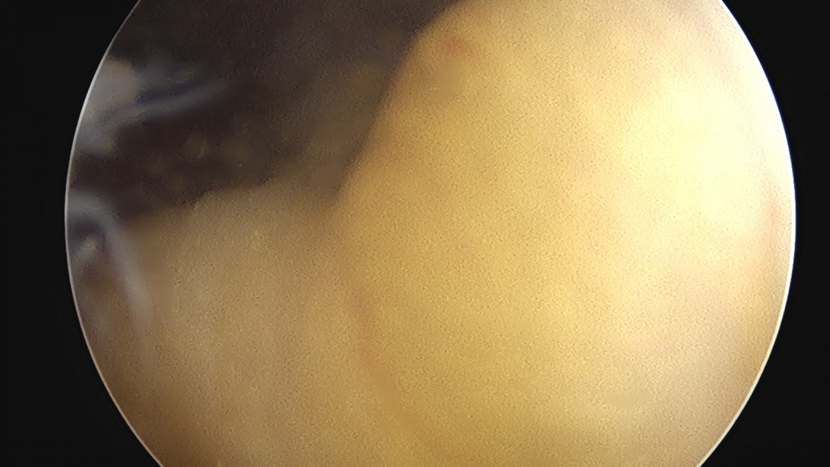 58490d3b1e200cf11df1ea881291f176_1736754697_4358.jpg