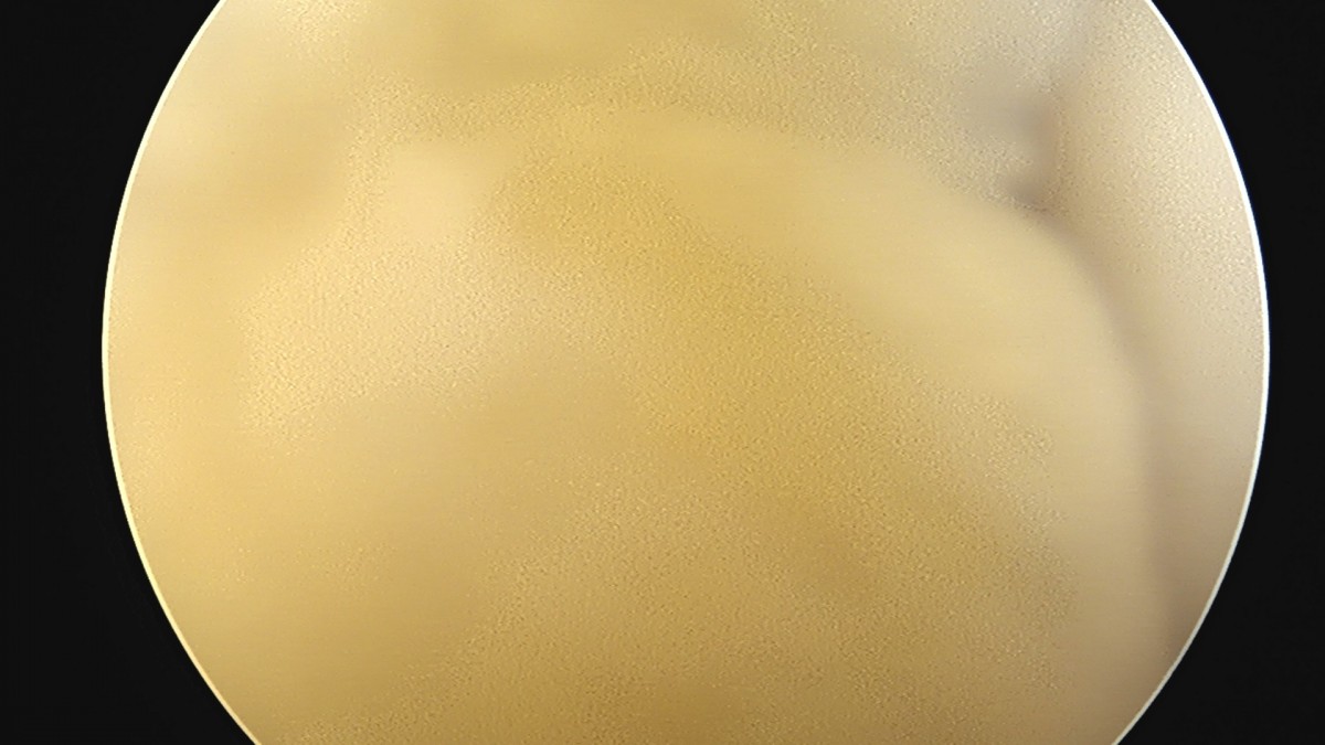 58490d3b1e200cf11df1ea881291f176_1736754697_528.jpg