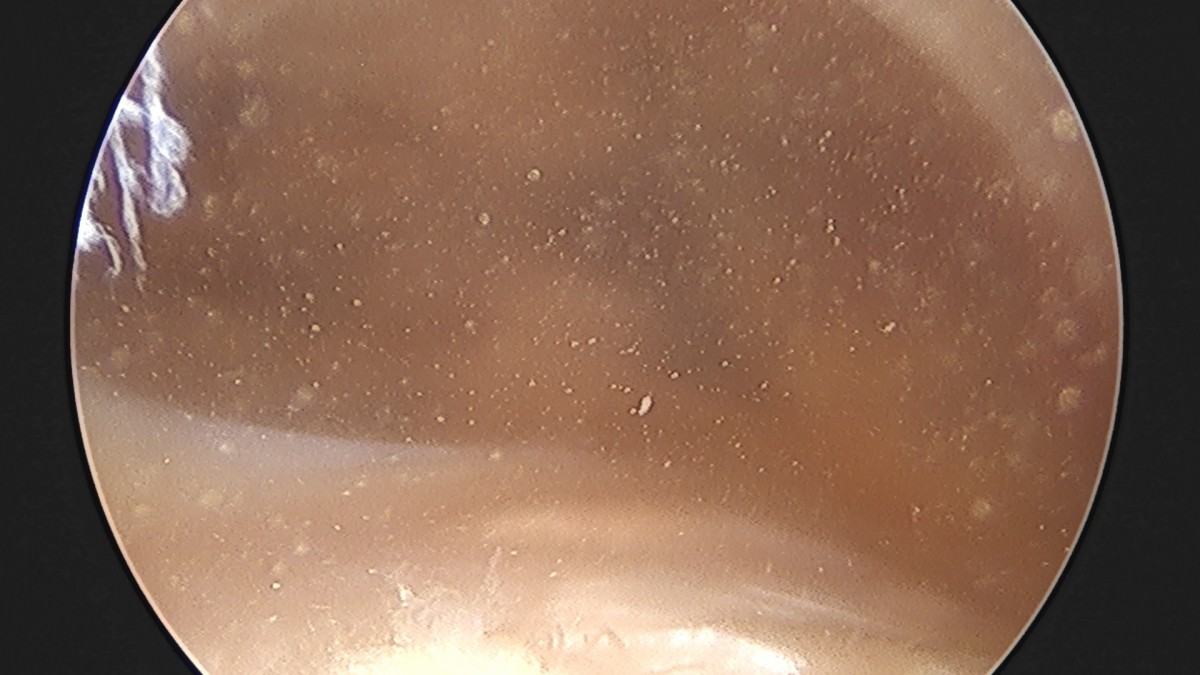 58490d3b1e200cf11df1ea881291f176_1736754760_17.jpg