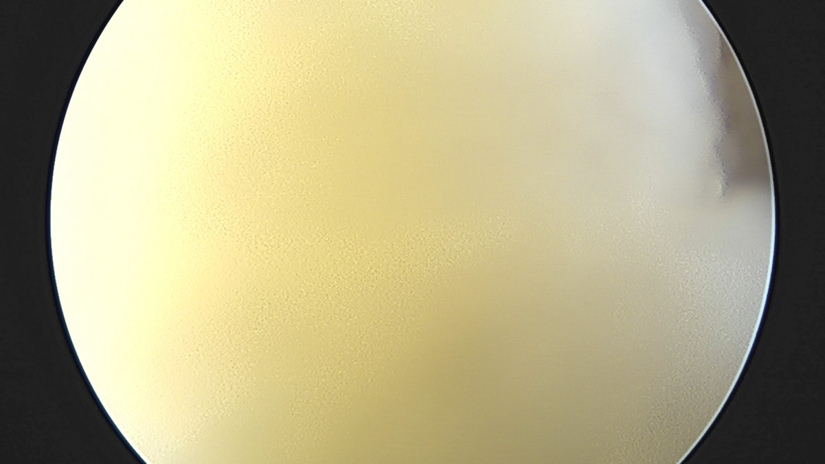 58490d3b1e200cf11df1ea881291f176_1736754760_6876.jpg