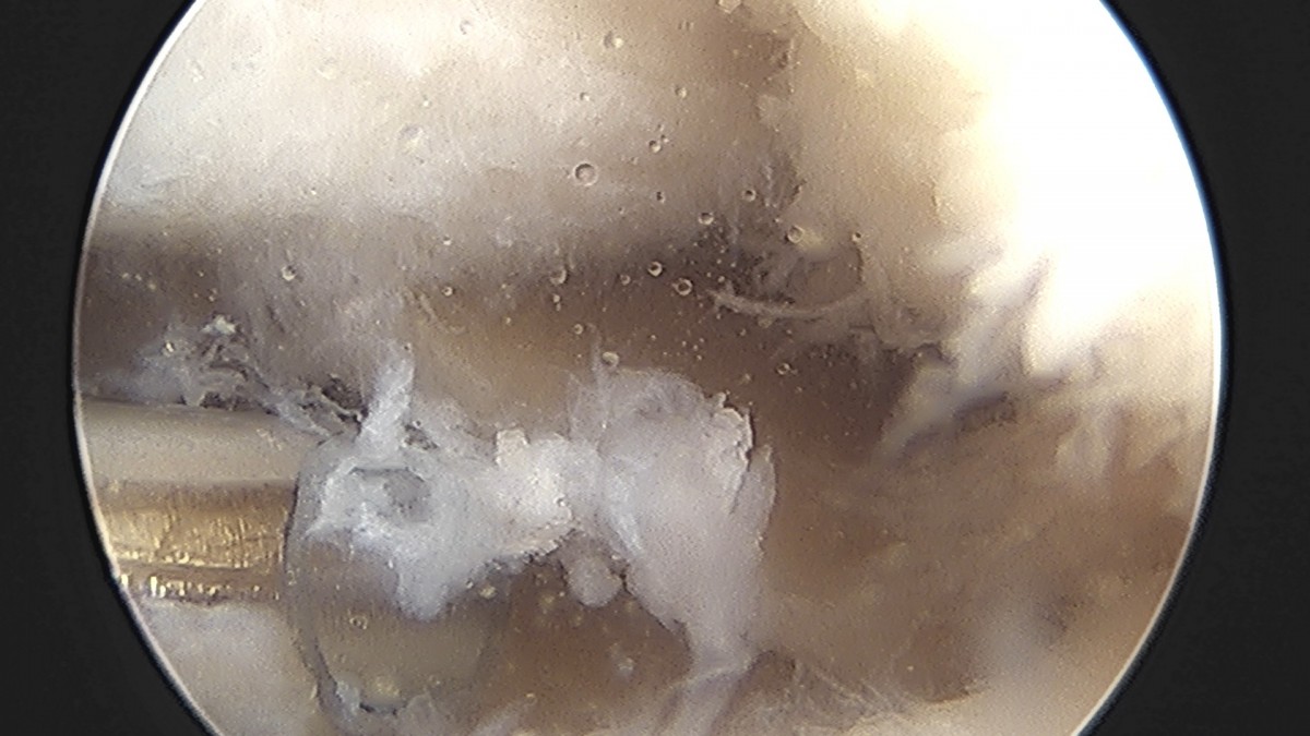 58490d3b1e200cf11df1ea881291f176_1736754760_8897.jpg