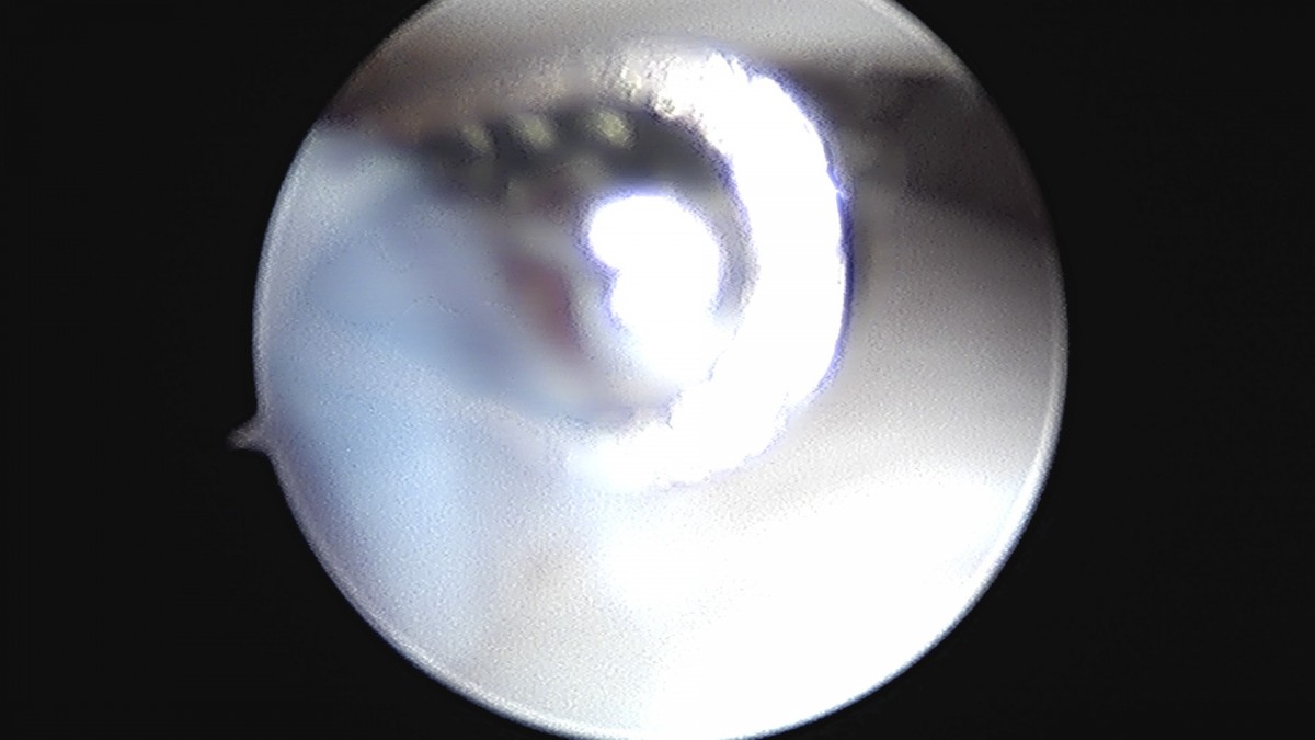 58490d3b1e200cf11df1ea881291f176_1736754805_383.jpg