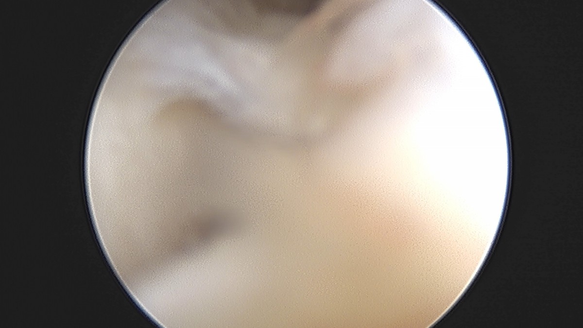 58490d3b1e200cf11df1ea881291f176_1736754966_598.jpg