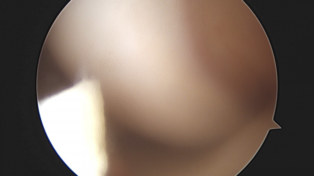 7a726e8ef38f0b72b0e256e4cd430ad9_1747293488_8789.jpg