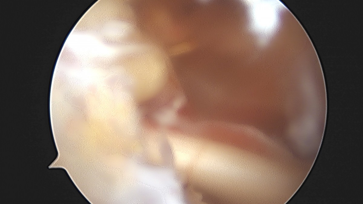 7a726e8ef38f0b72b0e256e4cd430ad9_1747294723_4363.jpg