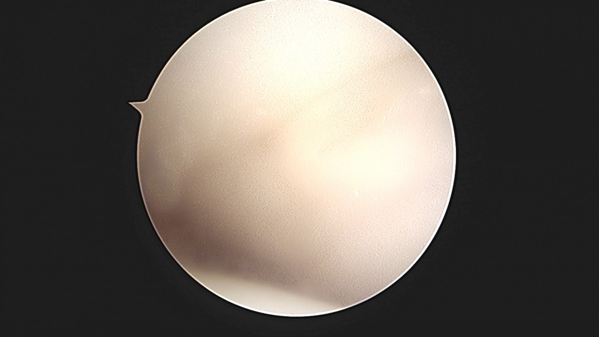 7a726e8ef38f0b72b0e256e4cd430ad9_1747295671_0874.jpg