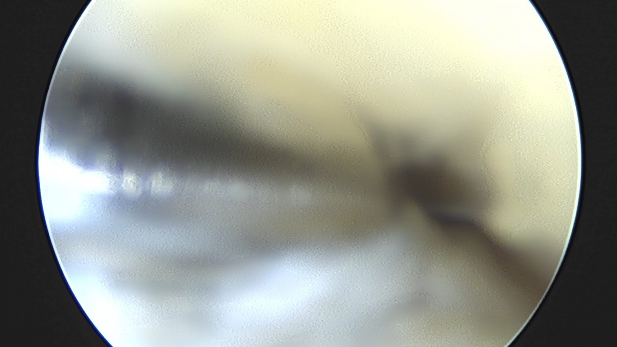 7a726e8ef38f0b72b0e256e4cd430ad9_1747299783_3778.jpg