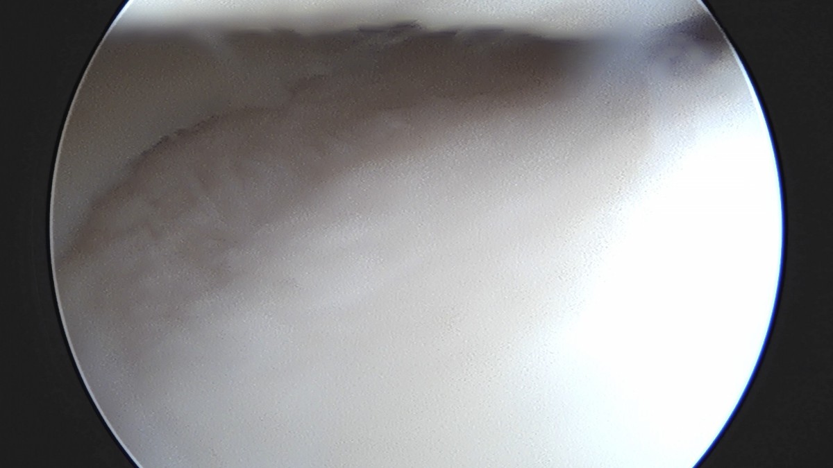 7a726e8ef38f0b72b0e256e4cd430ad9_1747299791_5432.jpg
