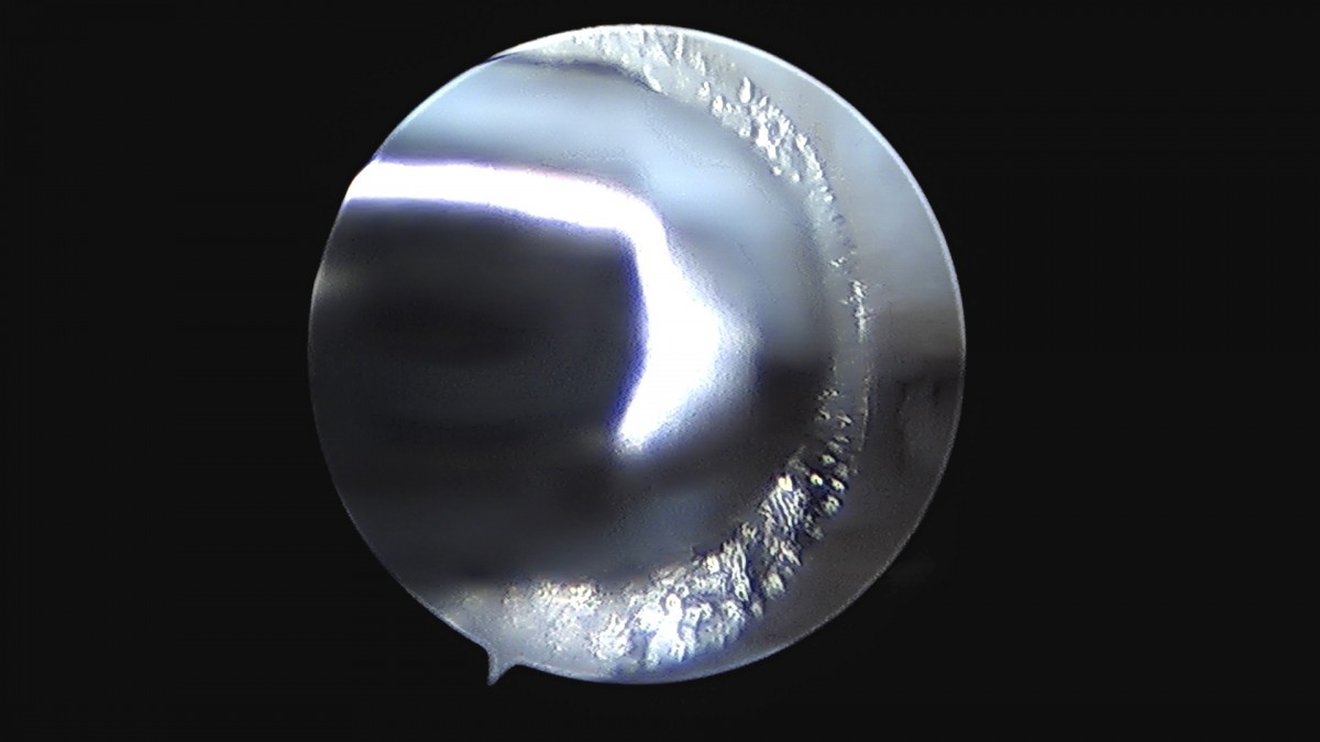 99e29187067a0bd925a1108e8520daf8_1747634905_5424.jpg