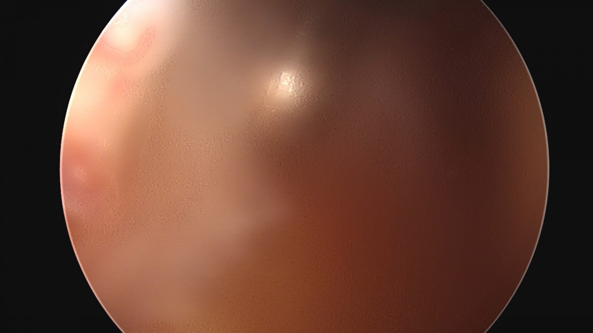 dae765e4d9ac96aee867c9d6292d8784_1758004196_1822.jpg