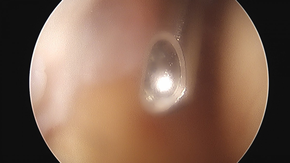 dae765e4d9ac96aee867c9d6292d8784_1758004196_7706.jpg