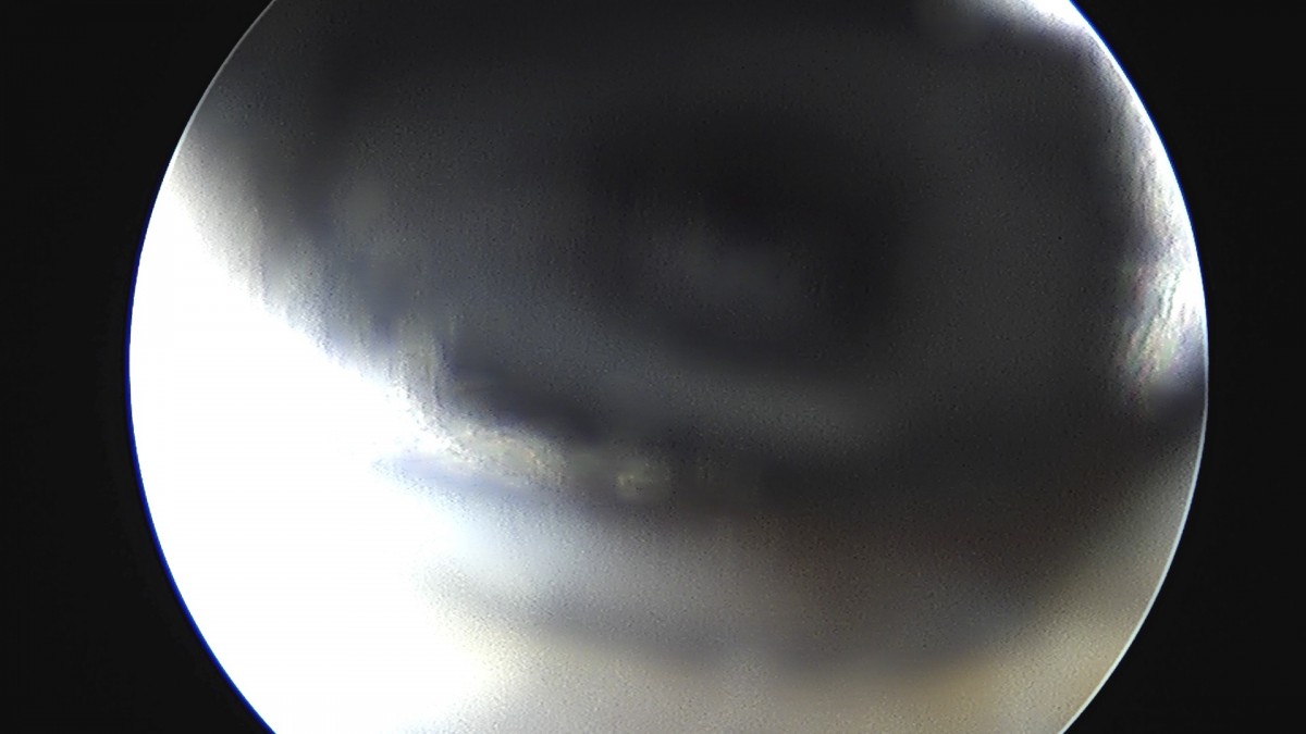 dae765e4d9ac96aee867c9d6292d8784_1758004199_7063.jpg