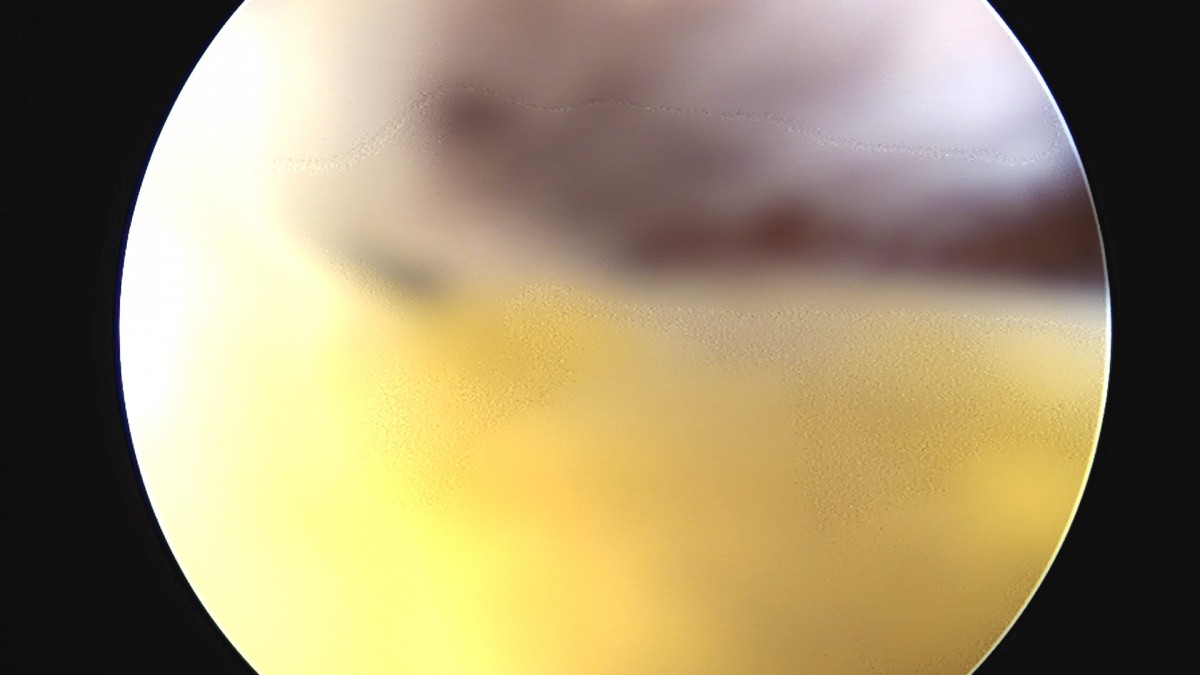 dae765e4d9ac96aee867c9d6292d8784_1758004200_305.jpg