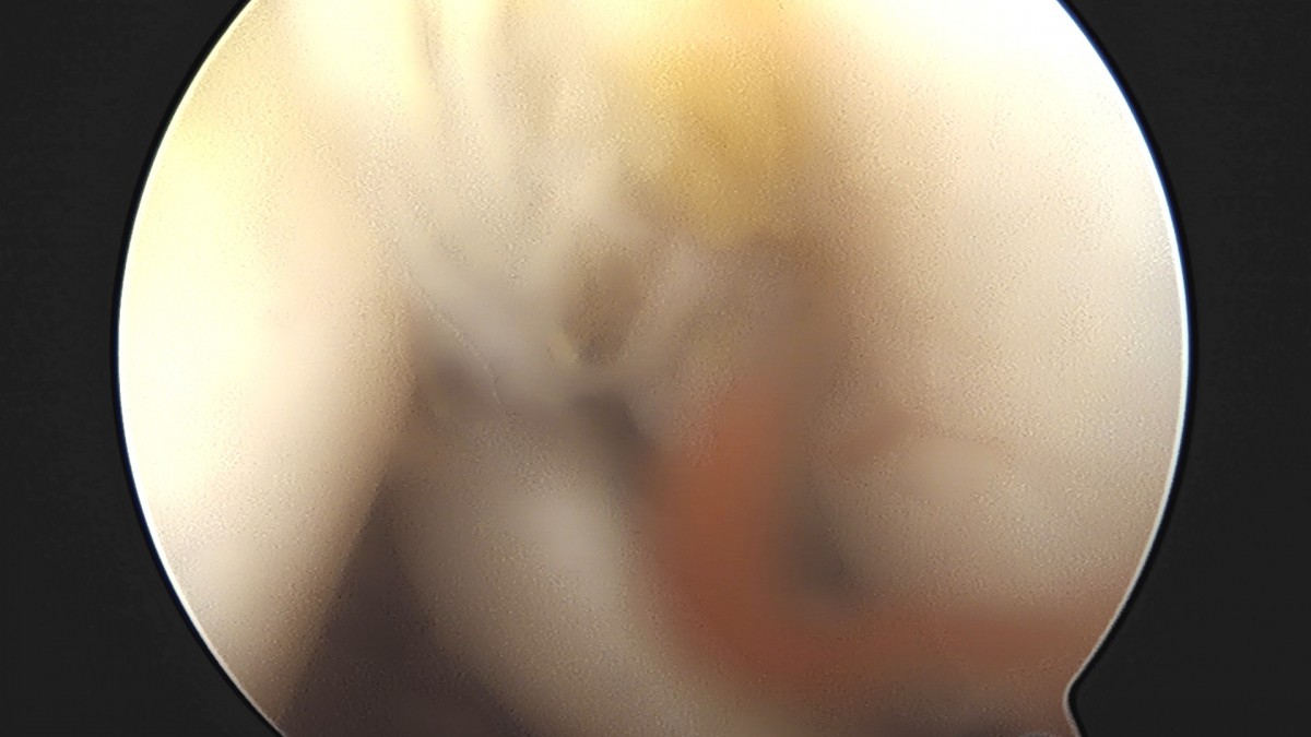 dae765e4d9ac96aee867c9d6292d8784_1758004330_4078.jpg