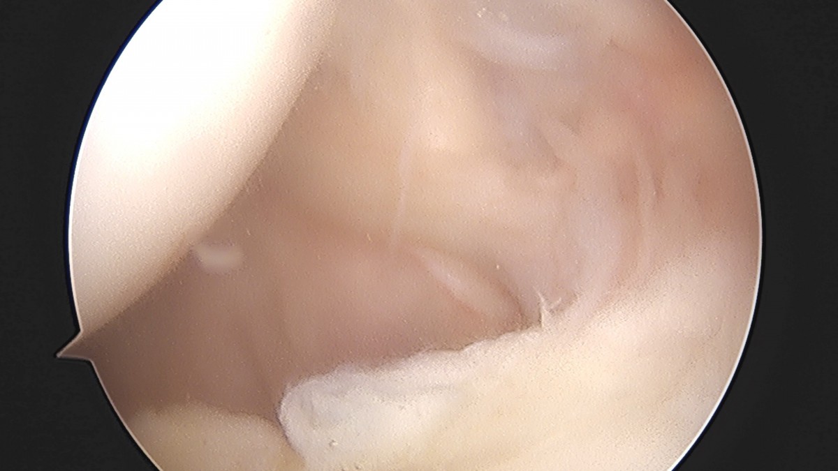 dae765e4d9ac96aee867c9d6292d8784_1758004745_6518.jpg