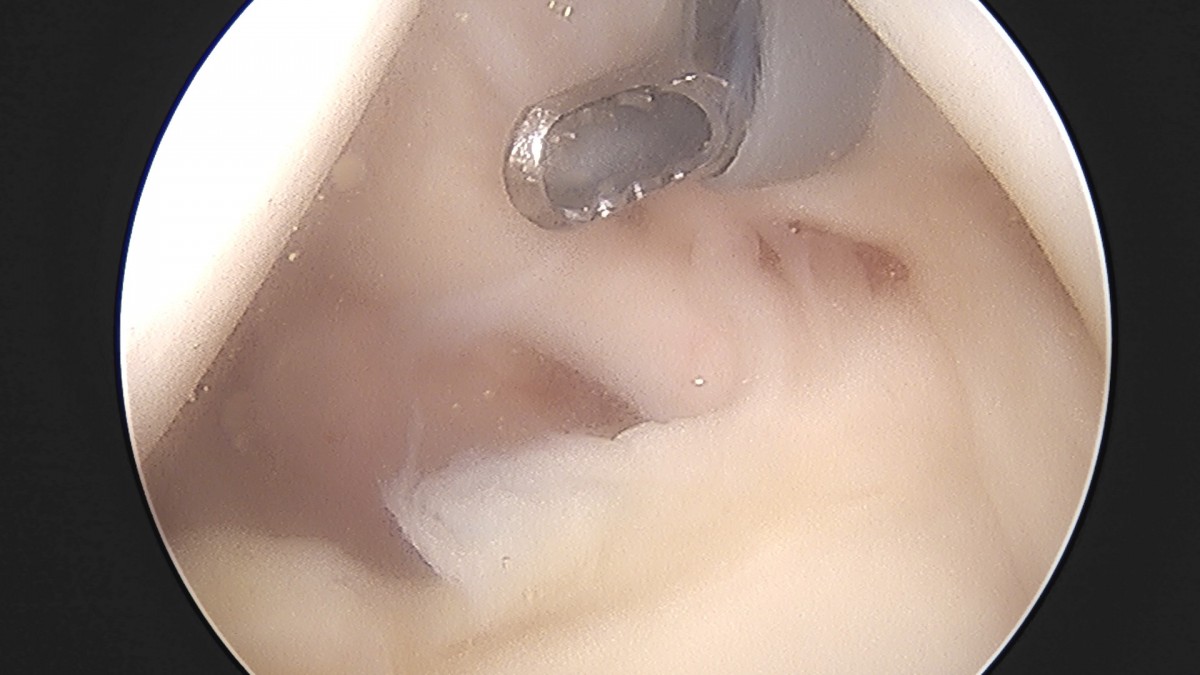dae765e4d9ac96aee867c9d6292d8784_1758004746_2426.jpg