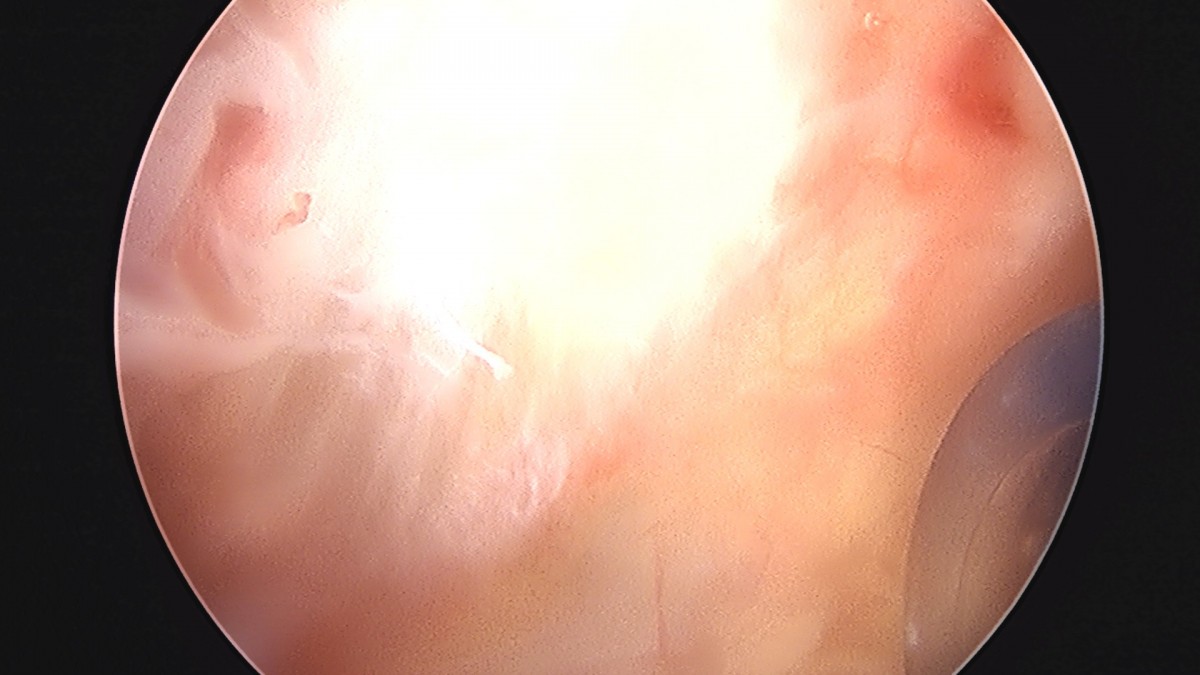 dae765e4d9ac96aee867c9d6292d8784_1758004884_4543.jpg