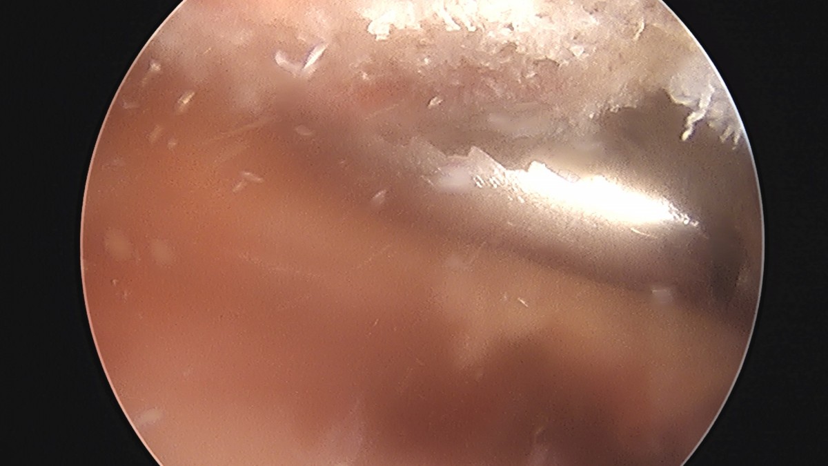 dae765e4d9ac96aee867c9d6292d8784_1758004888_6433.jpg