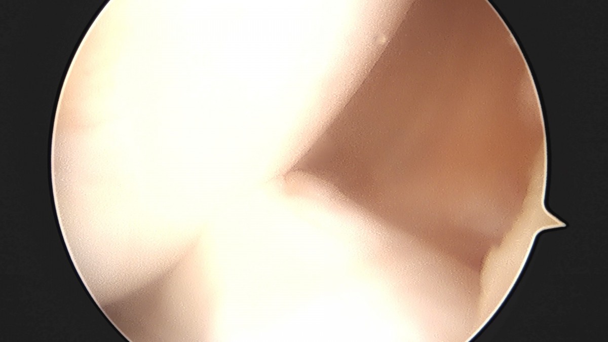 dae765e4d9ac96aee867c9d6292d8784_1758004938_9333.jpg
