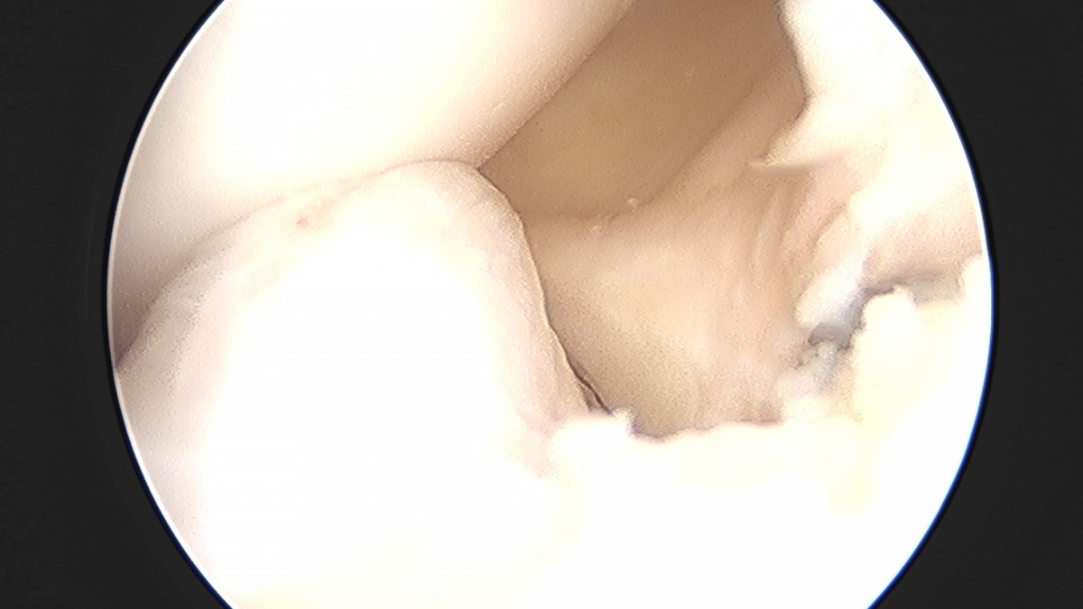 dae765e4d9ac96aee867c9d6292d8784_1758004943_0434.jpg