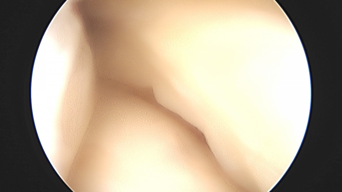 dae765e4d9ac96aee867c9d6292d8784_1758004943_6216.jpg
