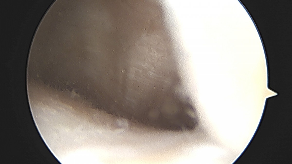 dae765e4d9ac96aee867c9d6292d8784_1758004993_0104.jpg