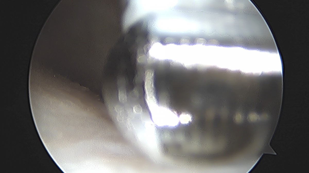 dae765e4d9ac96aee867c9d6292d8784_1758004993_5947.jpg