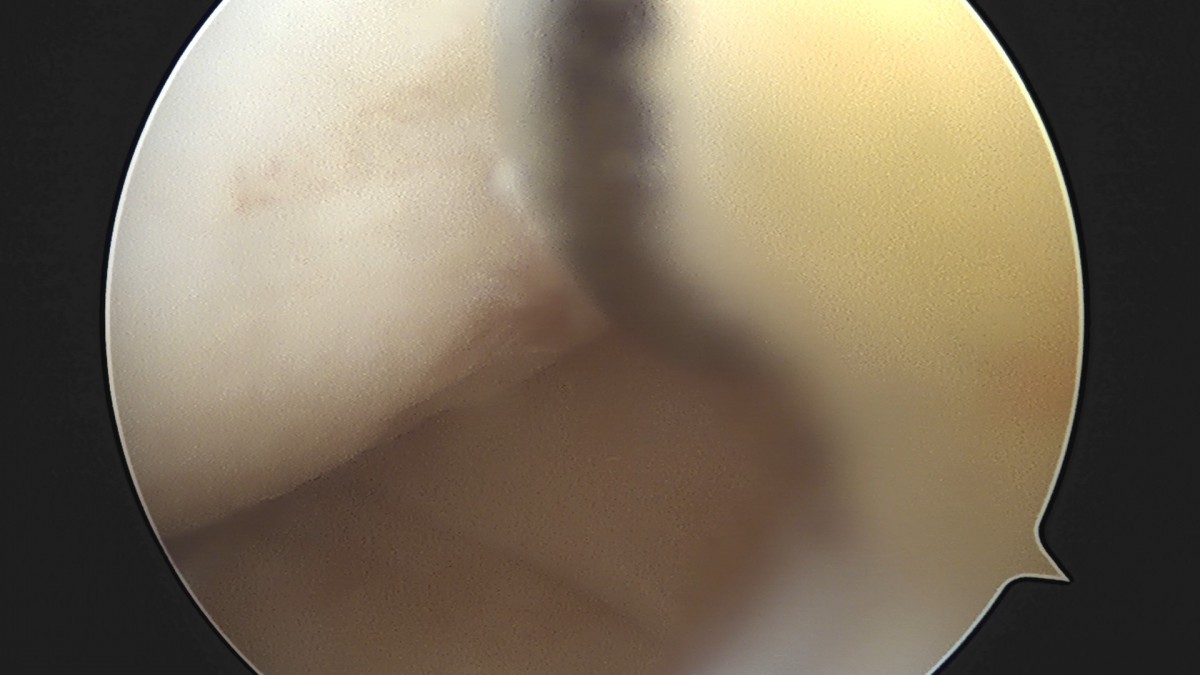 dae765e4d9ac96aee867c9d6292d8784_1758005133_4685.jpg