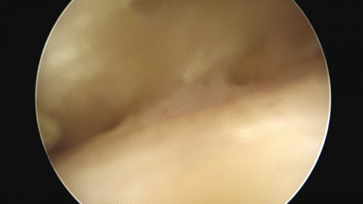 dae765e4d9ac96aee867c9d6292d8784_1758006370_5136.jpg