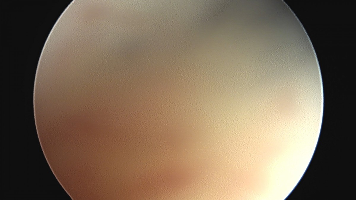 dae765e4d9ac96aee867c9d6292d8784_1758006371_1319.jpg
