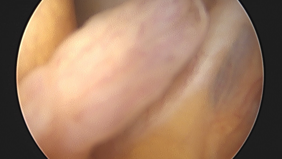 dae765e4d9ac96aee867c9d6292d8784_1758006443_5955.jpg