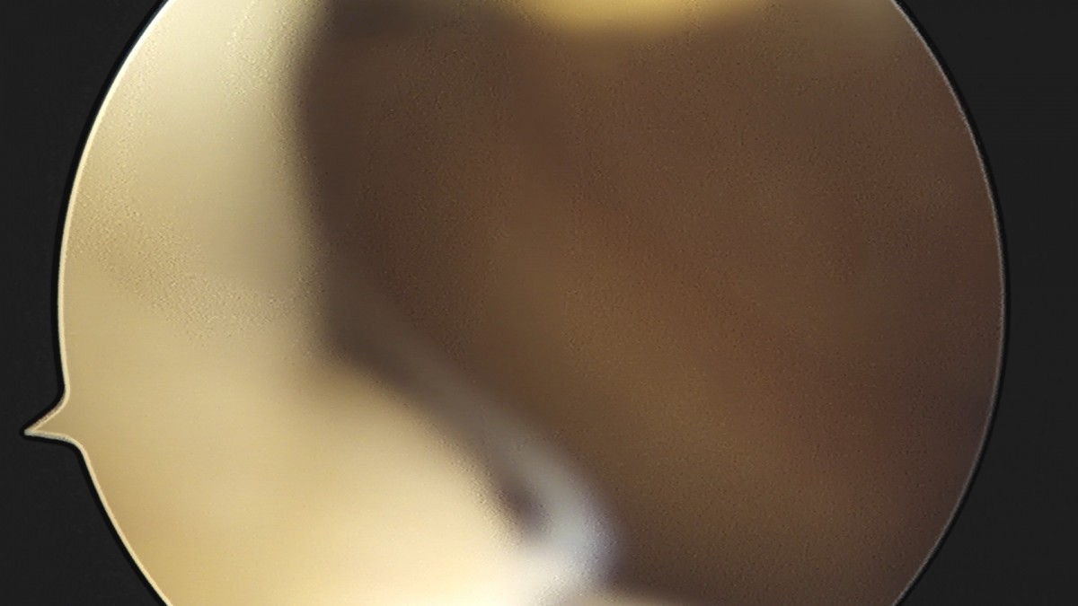 dae765e4d9ac96aee867c9d6292d8784_1758006444_8198.jpg
