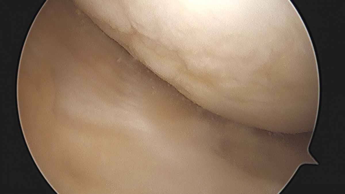 dae765e4d9ac96aee867c9d6292d8784_1758006446_7917.jpg