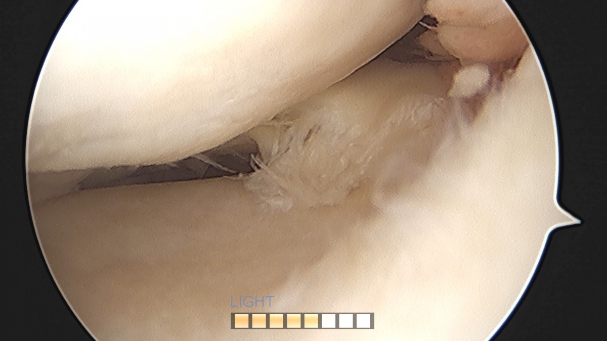 dae765e4d9ac96aee867c9d6292d8784_1758006448_0424.jpg