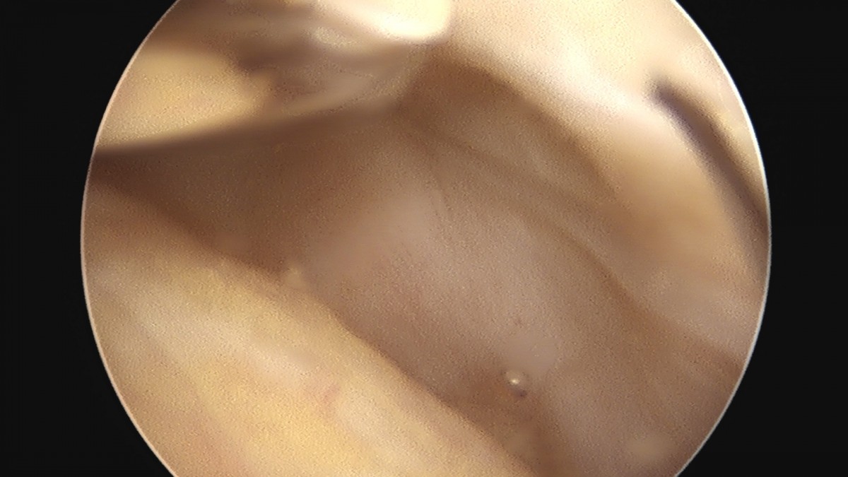 dae765e4d9ac96aee867c9d6292d8784_1758006558_9371.jpg