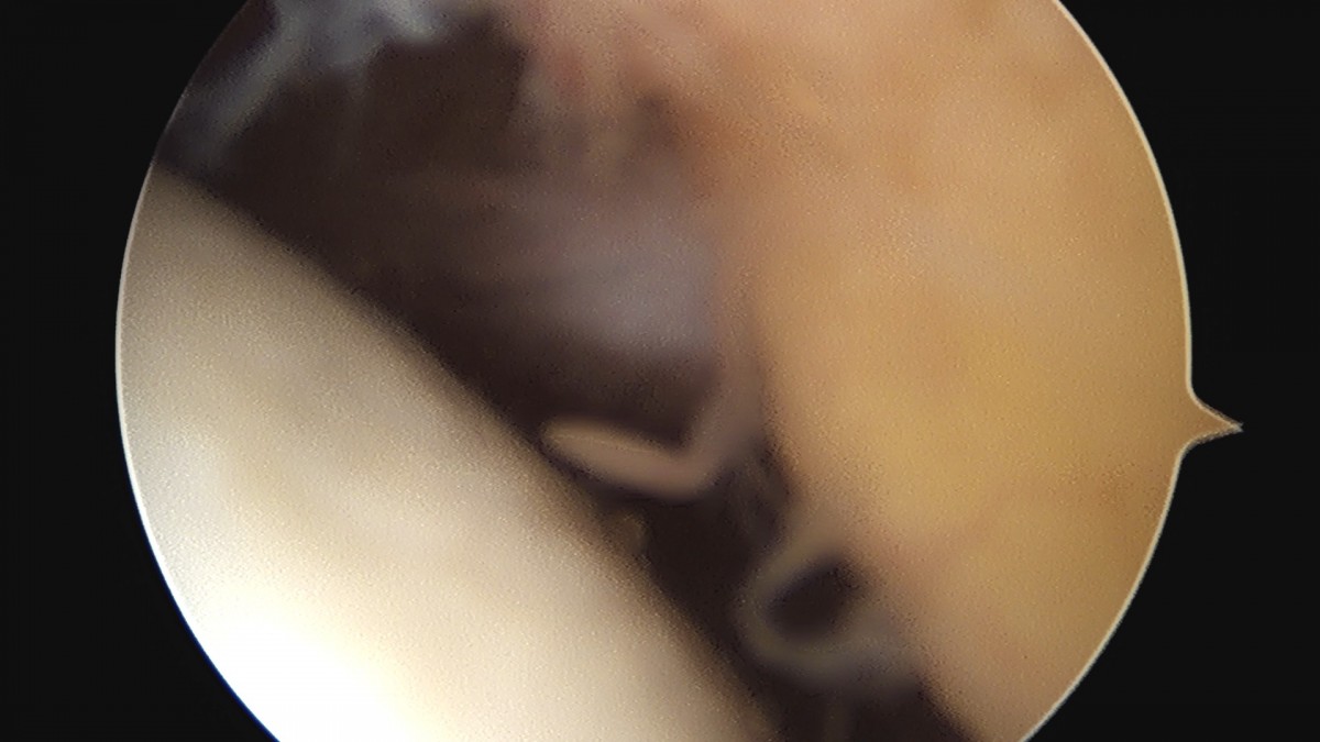 dae765e4d9ac96aee867c9d6292d8784_1758006560_1198.jpg